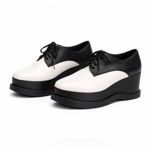Charles and Keith Chunky platform shoes.